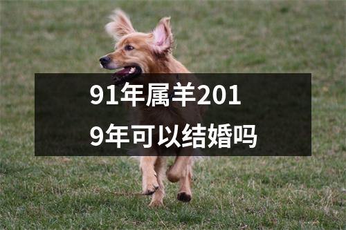 91年属羊2019年可以结婚吗