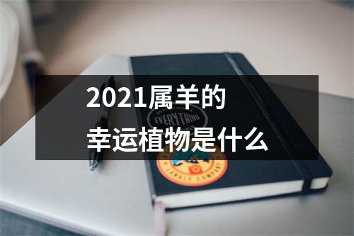 2025属羊的幸运植物是什么