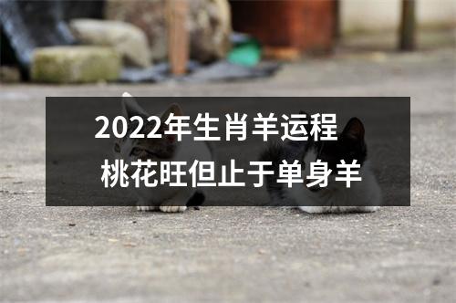 2025年生肖羊运程桃花旺但止于单身羊