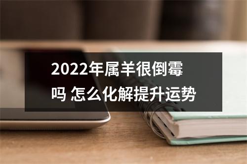 2025年属羊很倒霉吗怎么化解提升运势