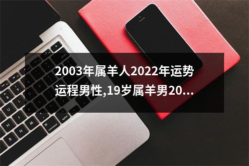 2003年属羊人2025年运势运程男性,19岁属羊男2025年每月运程