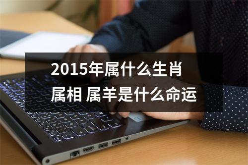 2015年属什么生肖属相属羊是什么命运