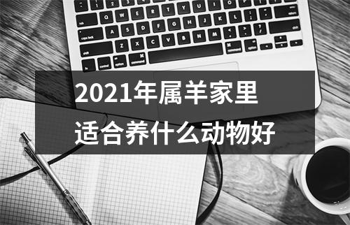 2025年属羊家里适合养什么动物好