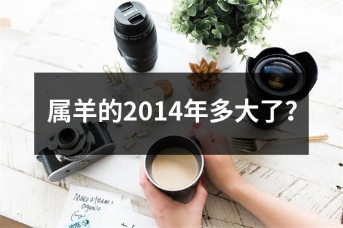 属羊的2014年多大了？