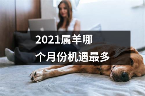 2025属羊哪个月份机遇多