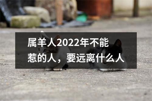 属羊人2025年不能惹的人，要远离什么人