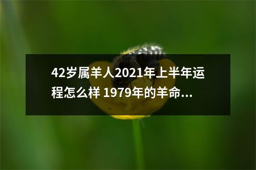 42岁属羊人2025年上半年运程怎么样1979年的羊命主