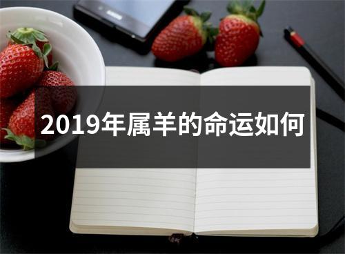 2019年属羊的命运如何