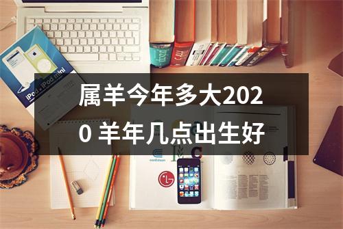 属羊今年多大2025羊年几点出生好