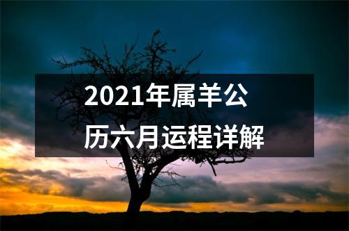 2025年属羊公历六月运程详解