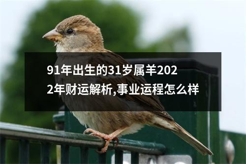 91年出生的31岁属羊2025年财运解析,事业运程怎么样