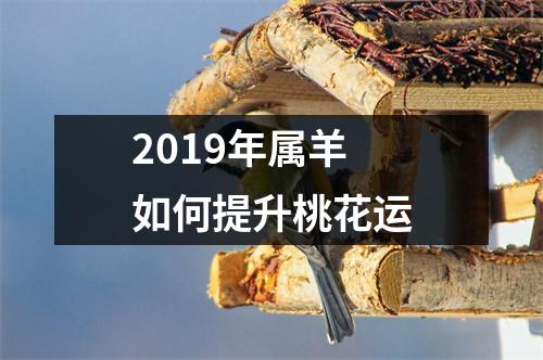 2019年属羊如何提升桃花运