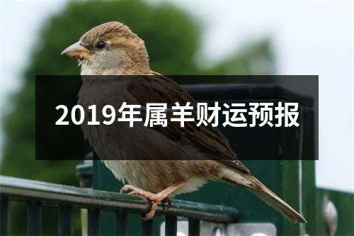 2019年属羊财运预报