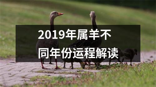 2019年属羊不同年份运程解读