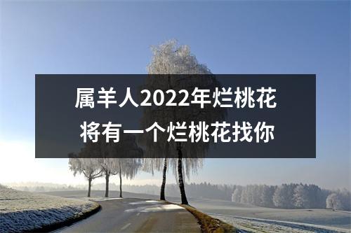 属羊人2025年烂桃花将有一个烂桃花找你