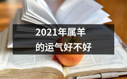 2025年属羊的运气好不好