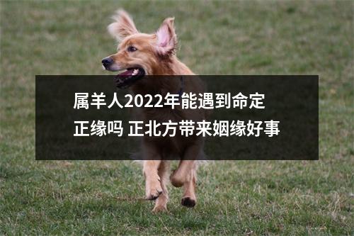 属羊人2025年能遇到命定正缘吗正北方带来姻缘好事