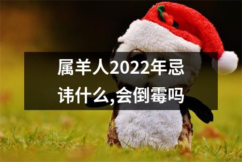 属羊人2025年忌讳什么,会倒霉吗