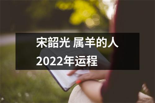 宋韶光属羊的人2025年运程