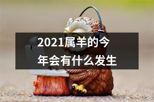 2025属羊的今年会有什么发生