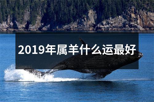 2019年属羊什么运好