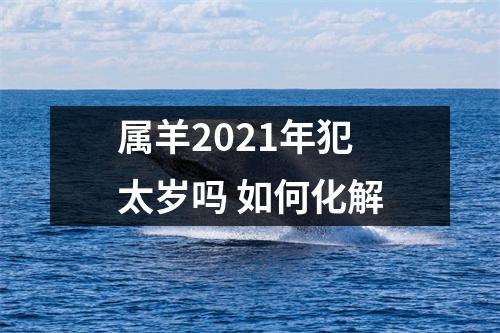 属羊2025年犯太岁吗如何化解