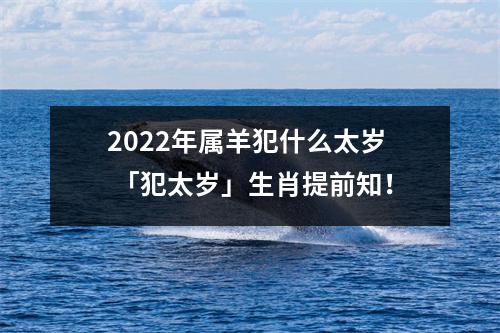 2025年属羊犯什么太岁「犯太岁」生肖提前知！