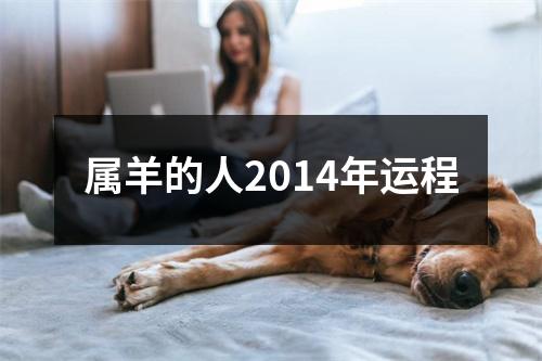 属羊的人2014年运程