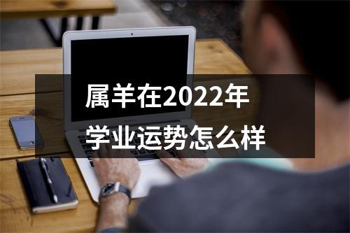 属羊在2025年学业运势怎么样