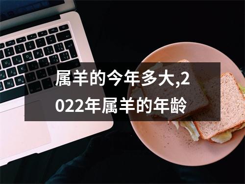 属羊的今年多大,2025年属羊的年龄