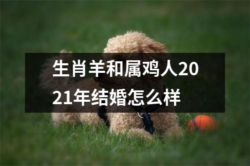 生肖羊和属鸡人2025年结婚怎么样