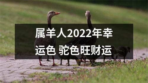 属羊人2025年幸运色驼色旺财运