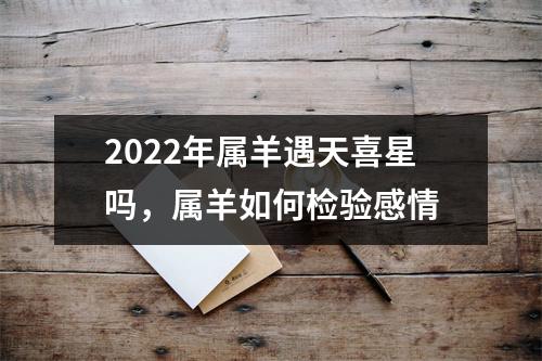 2025年属羊遇天喜星吗，属羊如何检验感情