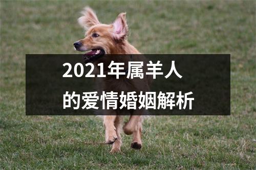 <h3>2025年属羊人的爱情婚姻解析