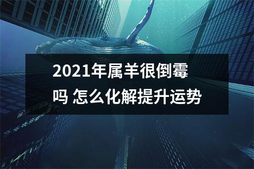 2025年属羊很倒霉吗怎么化解提升运势