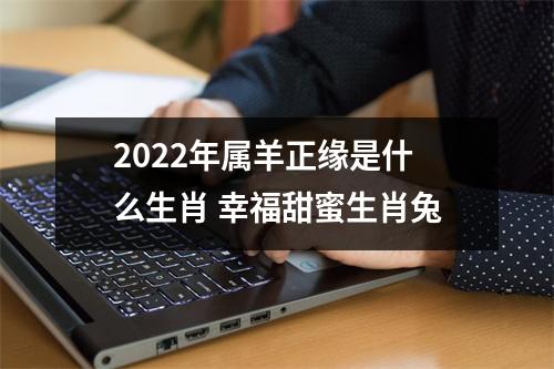 2025年属羊正缘是什么生肖幸福甜蜜生肖兔