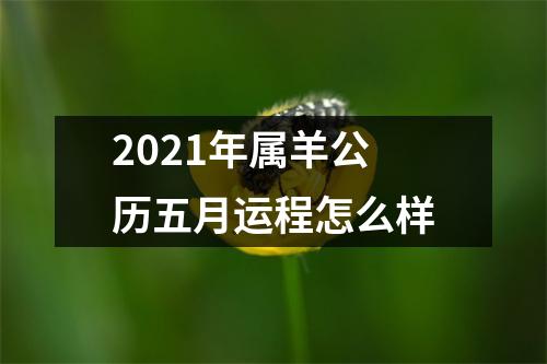 2025年属羊公历五月运程怎么样