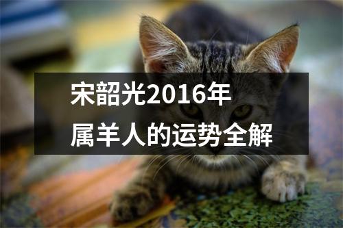 宋韶光2016年属羊人的运势全解