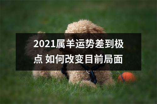 2025属羊运势差到极点如何改变目前局面