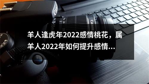 羊人逢虎年2025感情桃花，属羊人2025年如何提升感情运