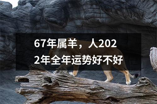 67年属羊，人2025年全年运势好不好