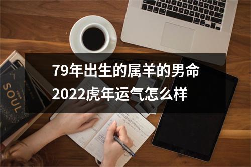 79年出生的属羊的男命2025虎年运气怎么样