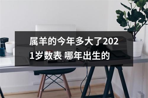 属羊的今年多大了2025岁数表哪年出生的