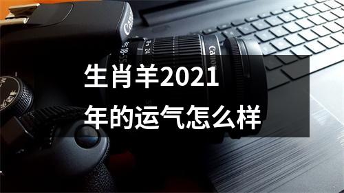 生肖羊2025年的运气怎么样