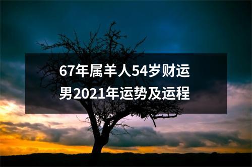 67年属羊人54岁财运男2025年运势及运程