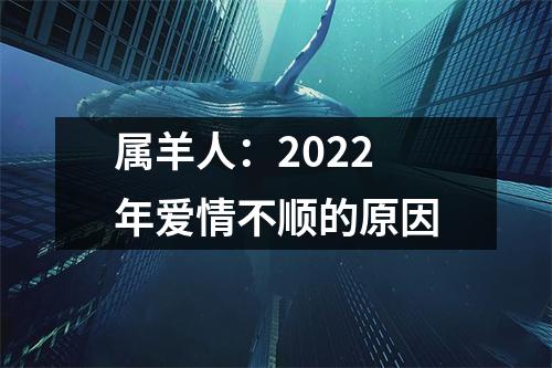 属羊人：2025年爱情不顺的原因