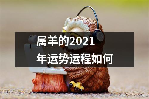 属羊的2025年运势运程如何