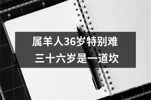 属羊人36岁特别难三十六岁是一道坎