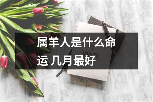 属羊人是什么命运几月好