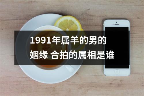 1991年属羊的男的姻缘合拍的属相是谁